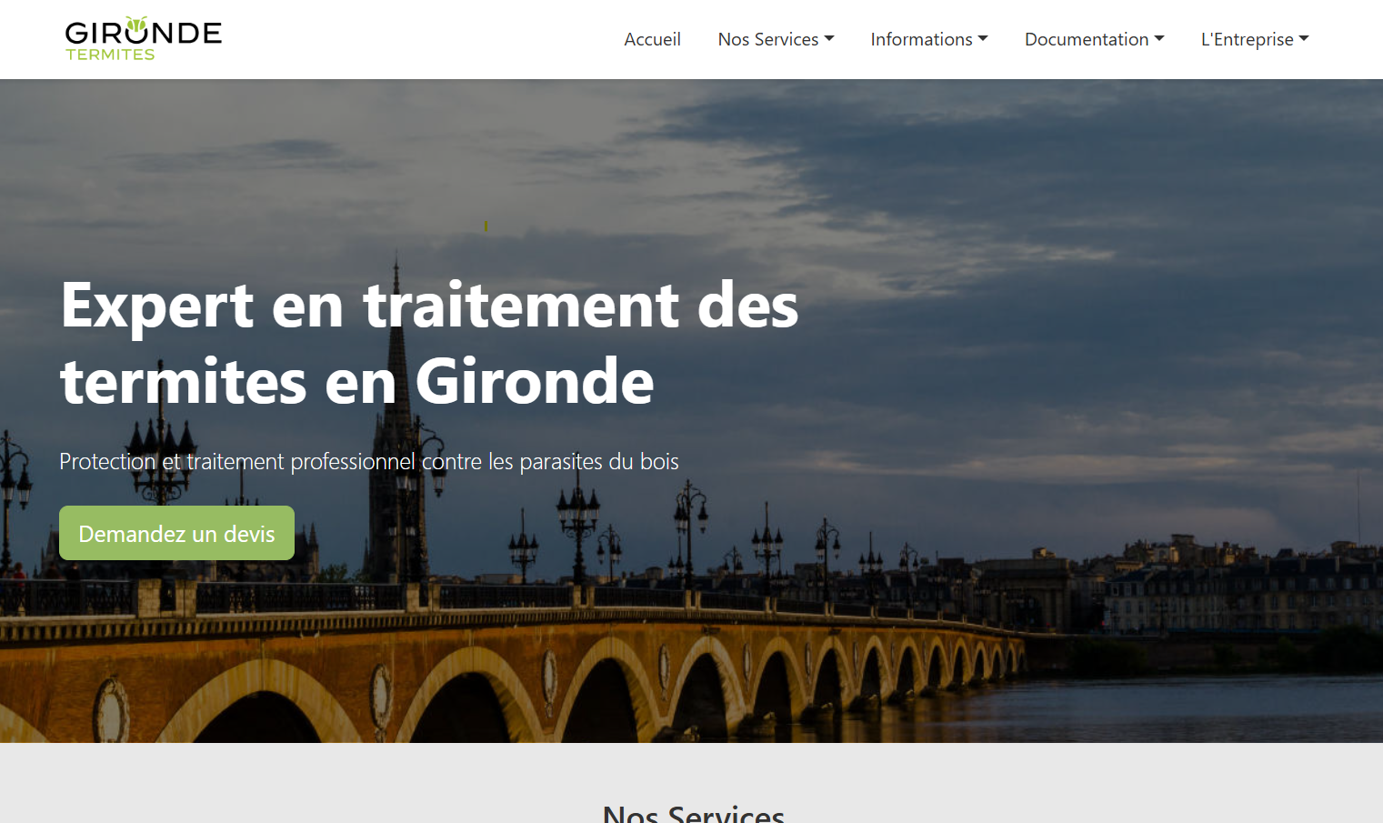 Capture d'écran - Site web moderne